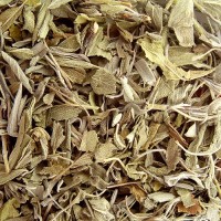 Sauge officinale Feuilles Bio 25 g